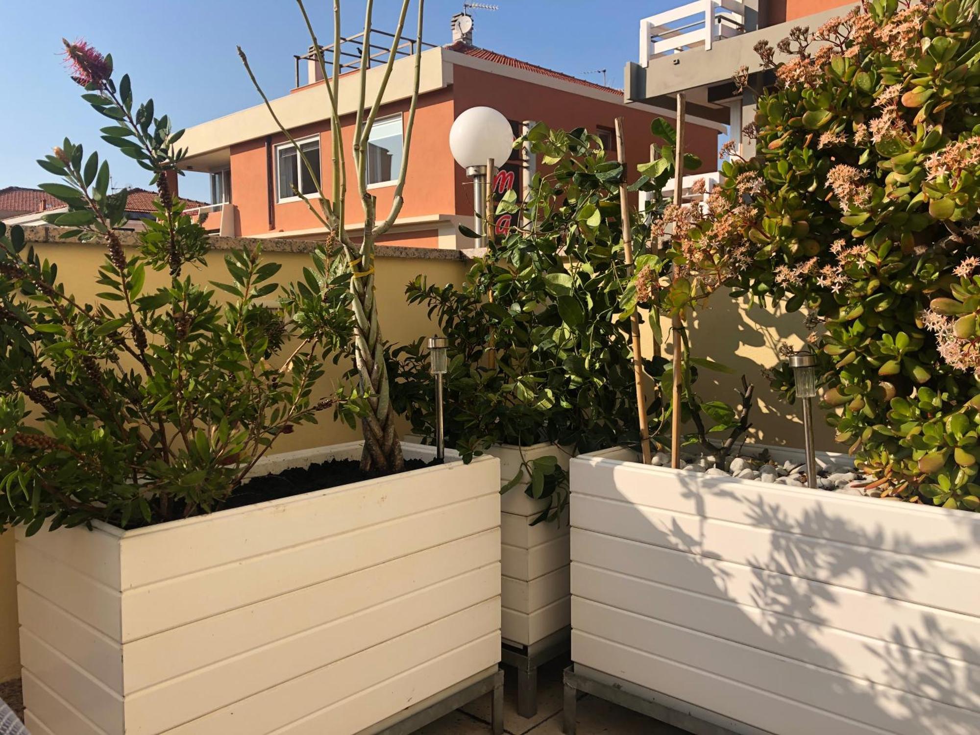بورديغيرا B&B Borgo Marina المظهر الخارجي الصورة